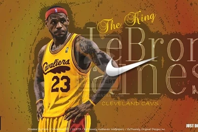 Gallery For   Lebron James Wallpapers 2014 Dunk