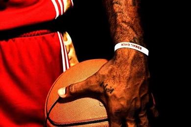 Lebron James Wallpapers Heat