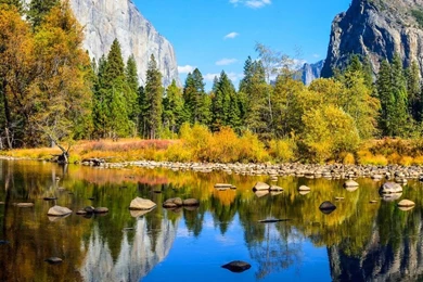 Yosemite Wallpaper, Nature / Forest: Yosemite, 5k Wallpapers, El ...