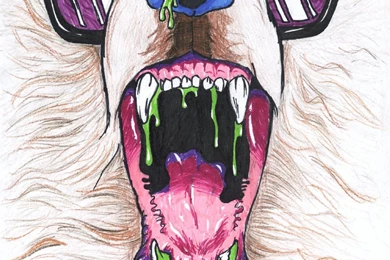 IWRESTLEDABEARONCE By BoNeR MaMa On DeviantArt