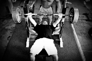 12 Steps To A Bigger Bench / Elite FTS