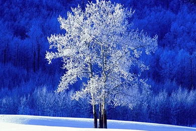 Nature Wallpapers, Hd Landscape Images, Nature Backgrounds ...