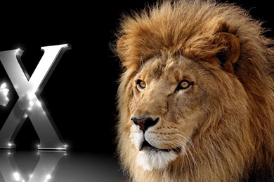 Mac OS X Lion!