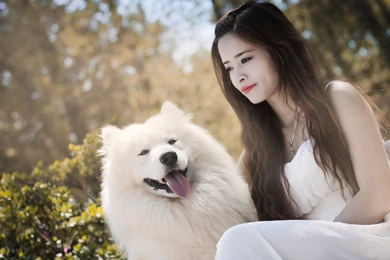 Beautiful Lady With Her Dog Uhd Wallpapers   Ultra High Definition ...