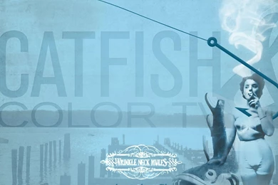 16 The Catfish Color Tv Desktop Wallpapers Catfish Color Tv Lyrics ...