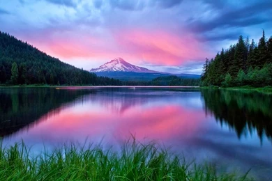 Free Download Of Nature Wallpapers   All Wallpapers New