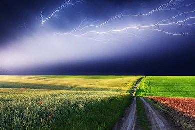 Nature Wallpaper,download Free Wallpaper,free Images