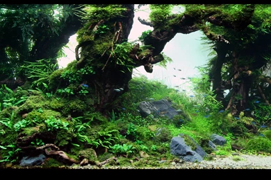 Wallpapers 1920x1200 Http://img.wallpaperstock.