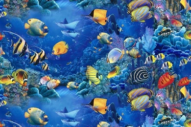 Aquarium Wallpapers >> Backgrounds With Quality HD