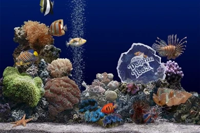 Dionne Beard: Fish Tank Wallpapers Hd