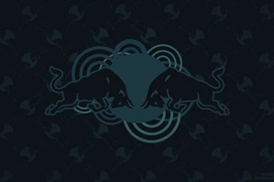 Quotes Art Of Flight Red Bull. QuotesGram