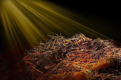 Pictures Of Jesus In A Manger   HD Wallpapers Lovely