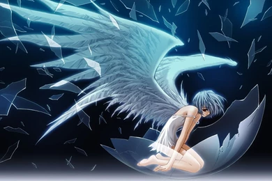 Eggs, Angel, Anime Girls, Wings Wallpapers HD