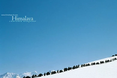 Himalaya_001.jpg