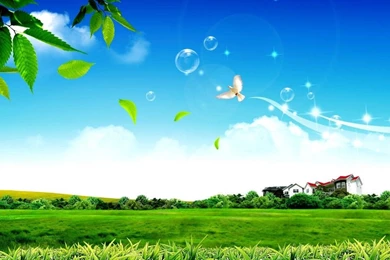 Free picture backgrounds 15 hq images background and wallpaper.jpg