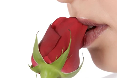 1920x1080px Kiss Lip Rose