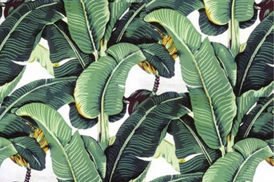 Our Top 3 Tips: How To Incorporate The Tropical Trend   NDA Blog