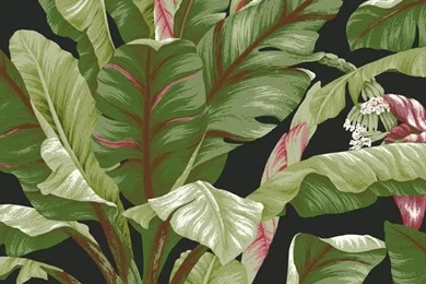 Banana Leaf Wallpapers In Green And Black Design By York ...