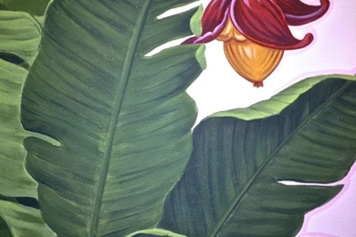 Banana Leaf Wallpapers Pattern 14 Banana Leaf Butterflies ...