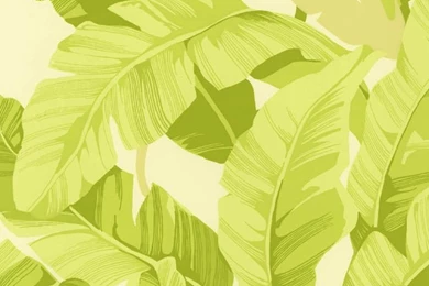 Inspired By The Beverly Hills Hotel: Palm Leaf Wallpapers : Style ...