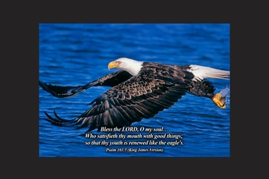 Psalm 103:5   The Fellowship Site