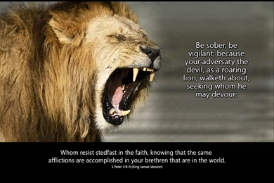 1 Peter 5:8 9   The Fellowship Site