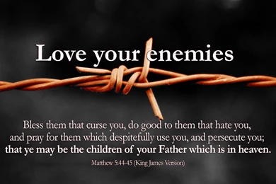 Matthew 5:44 45   The Fellowship Site