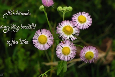 KJV Christian Wallpapers