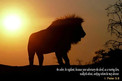 Not An ACT Of God! By E. Davenport December 25, 2011