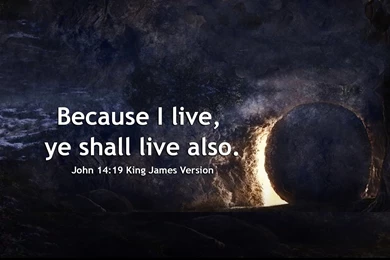 John 14:19 Scripture Wallpaper, Email Banner, Scripture Picture ...