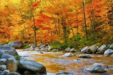 Nature Wallpapers Free Download For Desktop   Wallpapers HD Fine