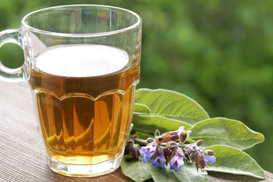 Green Tea HD Beautiful Wallpapers Free HD Wallpapers   Download ...