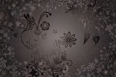 Compaq Lenovo Hp Wallpapers