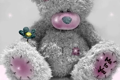 Wallpapers Pictures Photos: Me To You Teddy Bears Pictures