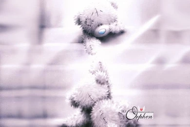 Bears Wallpapers By Orphen5 On DeviantArt