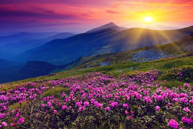 Landscape Cartoon Backgrounds Wallpaper Images