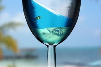 HD mobile phone landscape wallpapers 768x1280 04.jpg