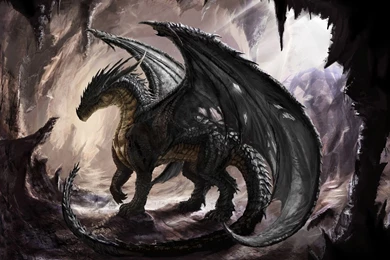 Dragon In The Cave Wallpapers   Fantasy Wallpapers
