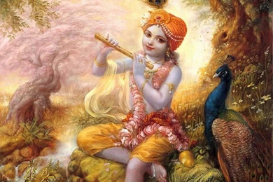 Anirudh Anand   Google+