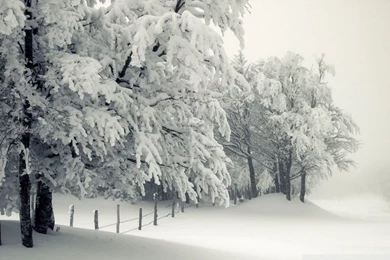 Snowy Landscape HD Desktop Wallpapers : High Definition ...