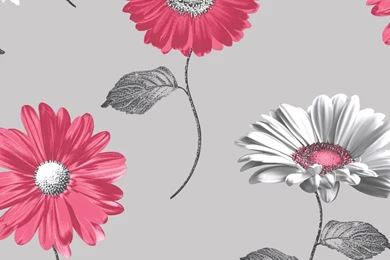 Floral Wallpapers Daisy MurivaMuriva