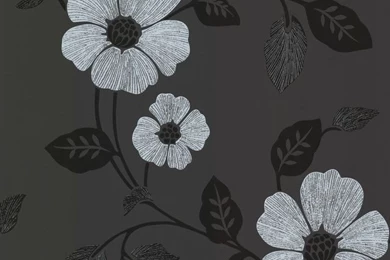 Zync Black Modern Floral Wallpaper, Bolt   Contemporary ...