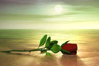 Nice Backgrounds Hd Wallpapers