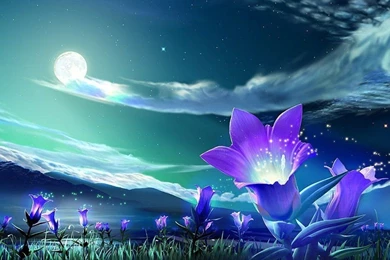 Nice Wallpaper Images   Wallpapers Cave