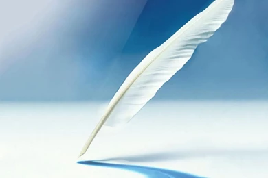 Download Wallpapers For Phone Samsung