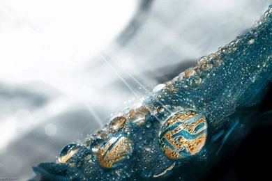 Tears of Sun 3 dimensional wallpapers 3d wallpapers abstarct wallpapers digital wallpapers 1280x800.jpg