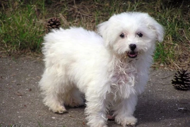 Browsing Photography On DeviantArt