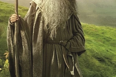Gandalf Lord of the Rings Tolkien 640x1136.jpg