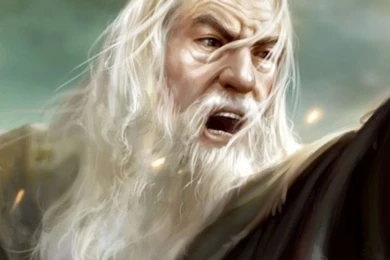 Download Wallpapers 750x1334 The Lord Of The Rings, Gandalf ...