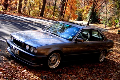 BMW E34 FALL WALLPAPER   (